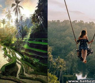 How to Get Bali Swing Tegalalang Rice Terrace Tour Easily