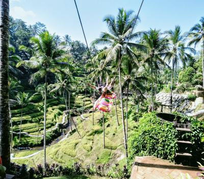 Bali Swing and Ubud Tour