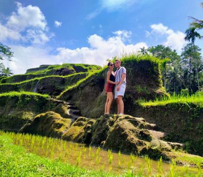 Taxi to Ubud Tegalalang Rice Terrace (Newest Car Types)