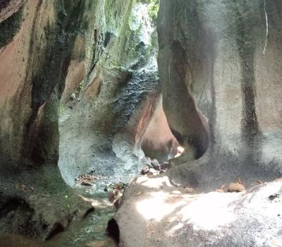 Ubud to Tukad Cepung Waterfall: Custom Tour Ideas with Bali Swing