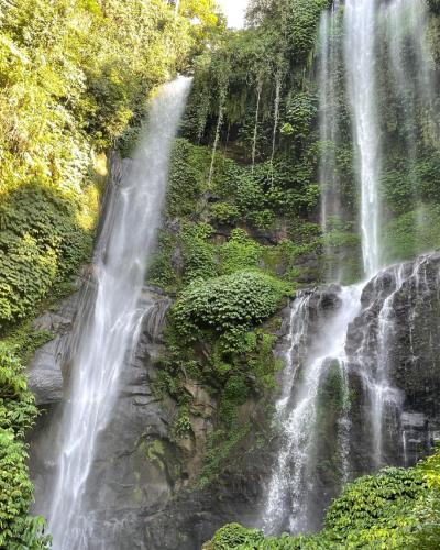 Explore Sekumpul Waterfall, Handara Gate & Ulun Danu Beratan with a Private Bali Driver