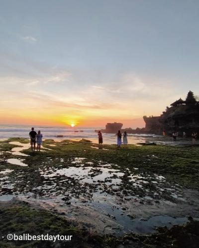 Jatiluwih Rice Terrace Trekking and Tanah Lot Sunset Tour