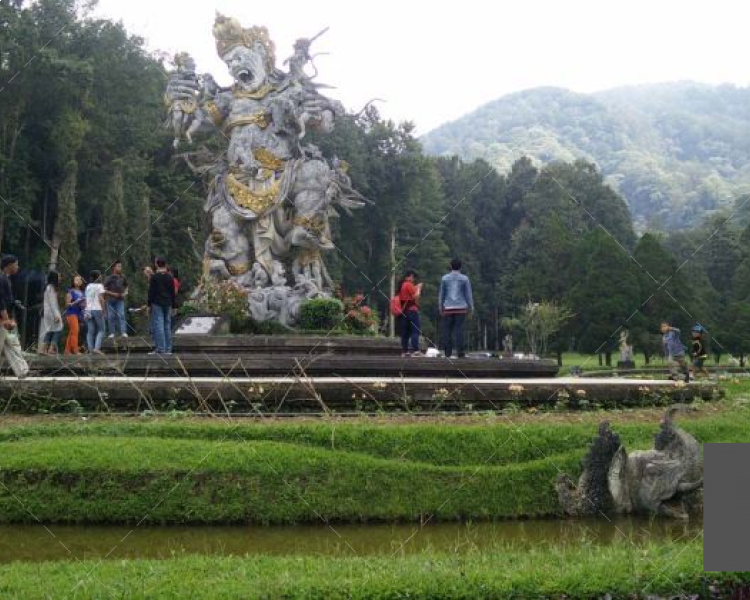 Bali Botanical Garden and Budugul tour