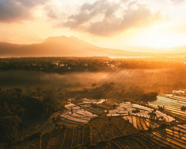 Bali Airport to Ubud Transfer Cost – Check Out It Here!