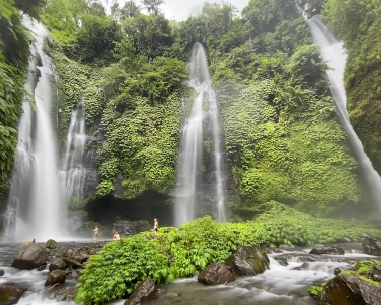 Sekumpul Waterfall, Ulun Danu Temple & Jatiluwih Rice Terrace Trekking Tour from Ubud