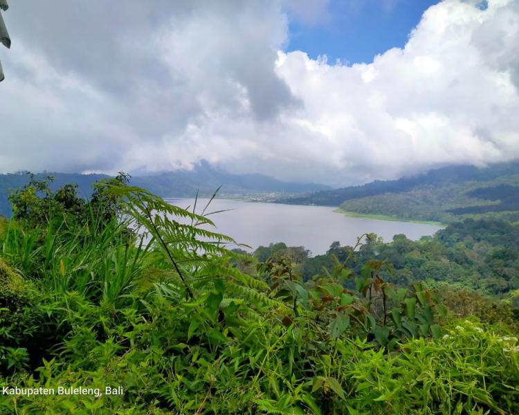 Buyan and Tamblingan Lakes Bali: Twin Lakes, Rainforest & Waterfalls in Wanagiri