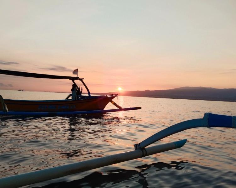 Lovina Beach Bali Dolphin Watching Tour