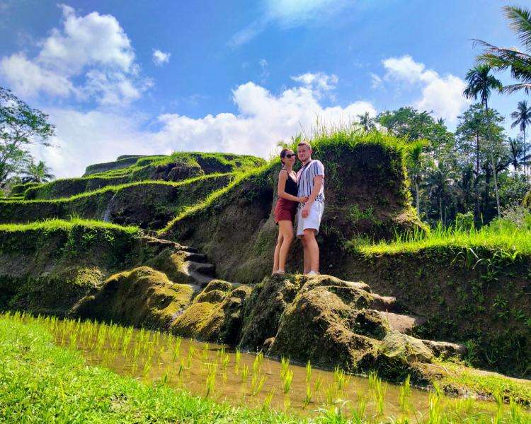 Taxi to Ubud Tegalalang Rice Terrace (Newest Car Types)