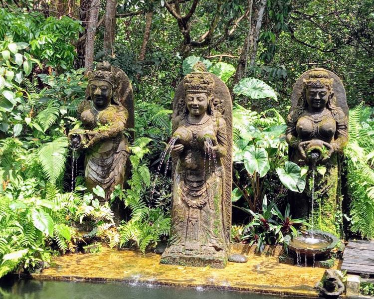 Exciting Things to Do in Ubud and How to Make Your Trip More Enjoyable