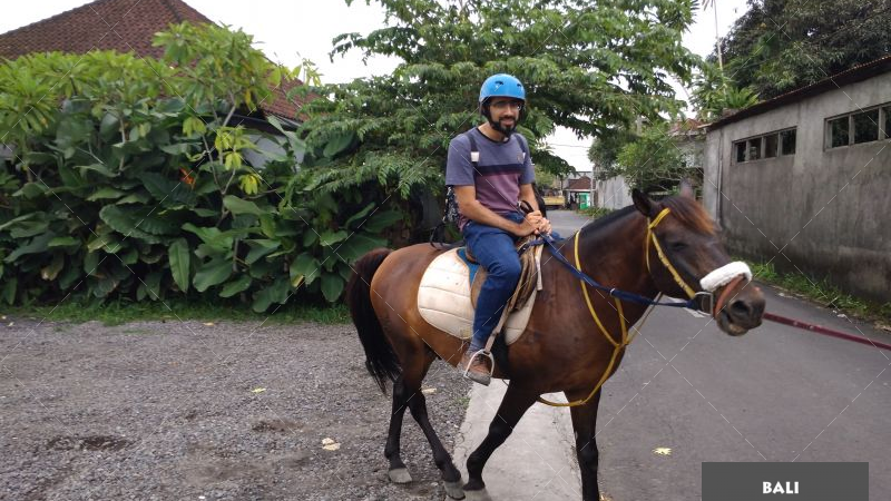 Bali Back Horse Riding