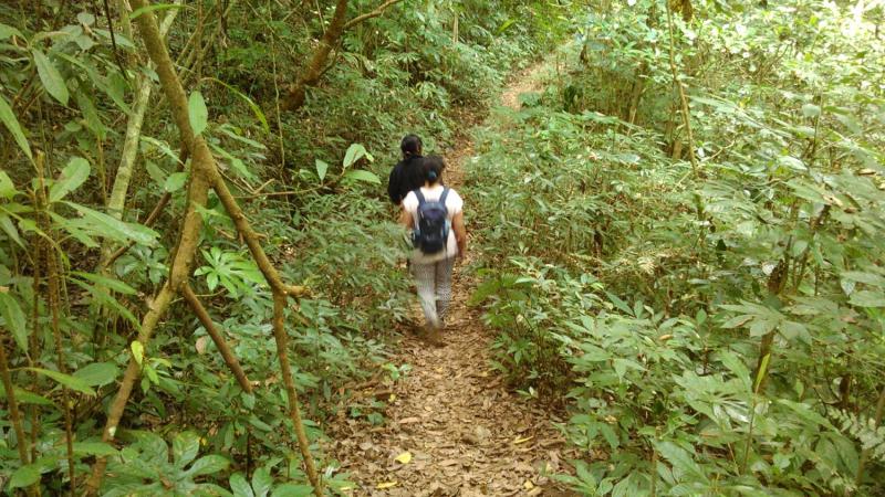 Tamblingan Jungle Trekking Bedugul Tanah Lot Tour