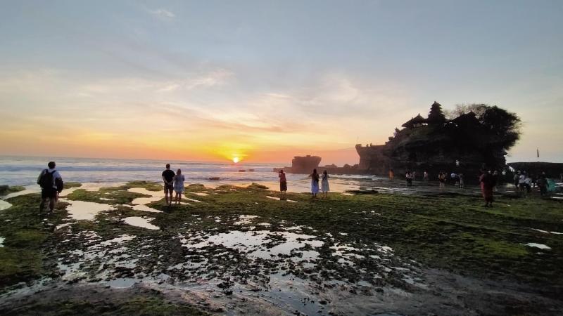 Jatiluwih Rice Terrace Trekking and Tanah Lot Sunset Tour