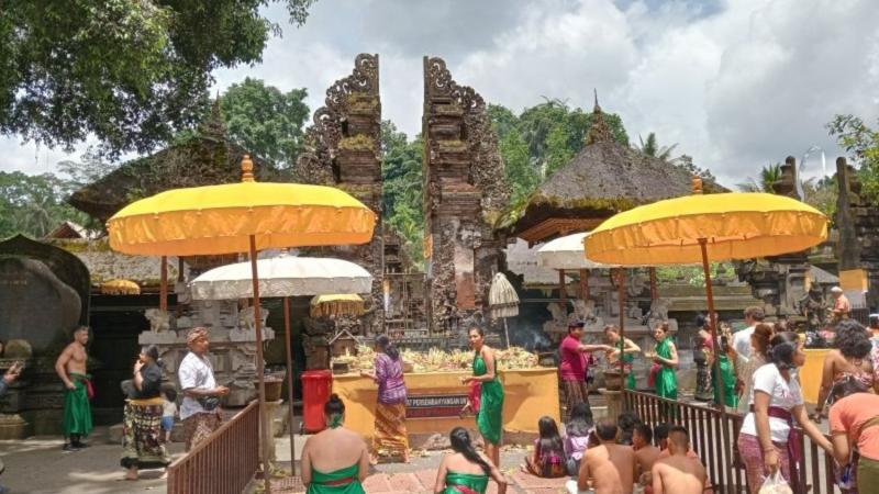 Ubud Heritage, Jungle Swing, and Silver Class Tour