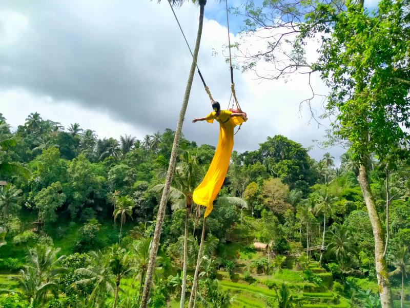 Tegalalang Bali Swing & Rice Terrace Private Tour