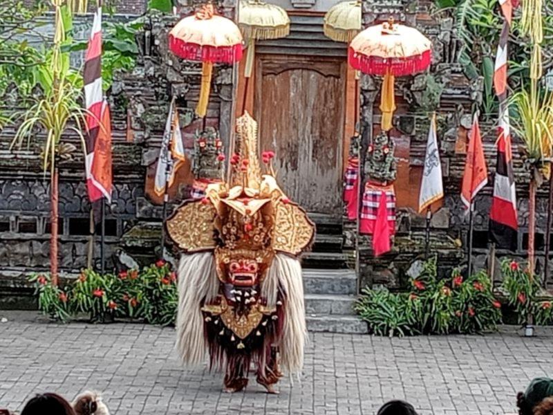 2 Days 1 Night Kintamani Volcano and Lovina Dolphin Tour