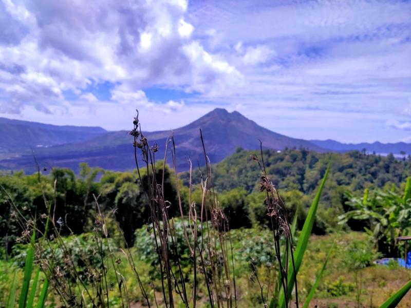 Full Day Kintamani  Bali Volcano Tour