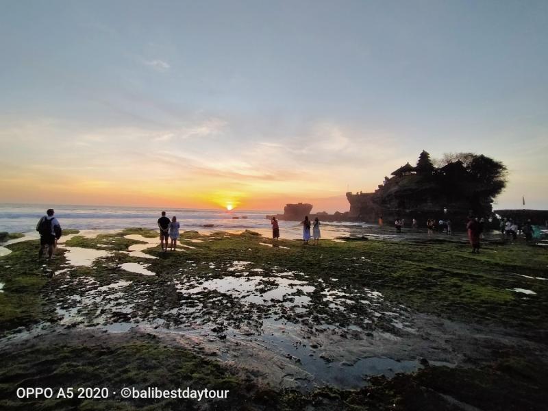 Jatiluwih Rice Terrace Trekking and Tanah Lot Sunset Tour
