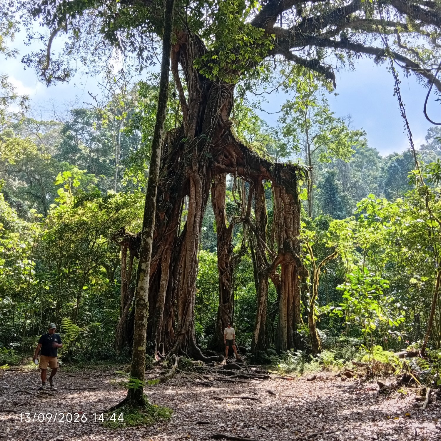 Bali Botanic Garden Bedugul: Complete Guide and Best Tour Itinerary