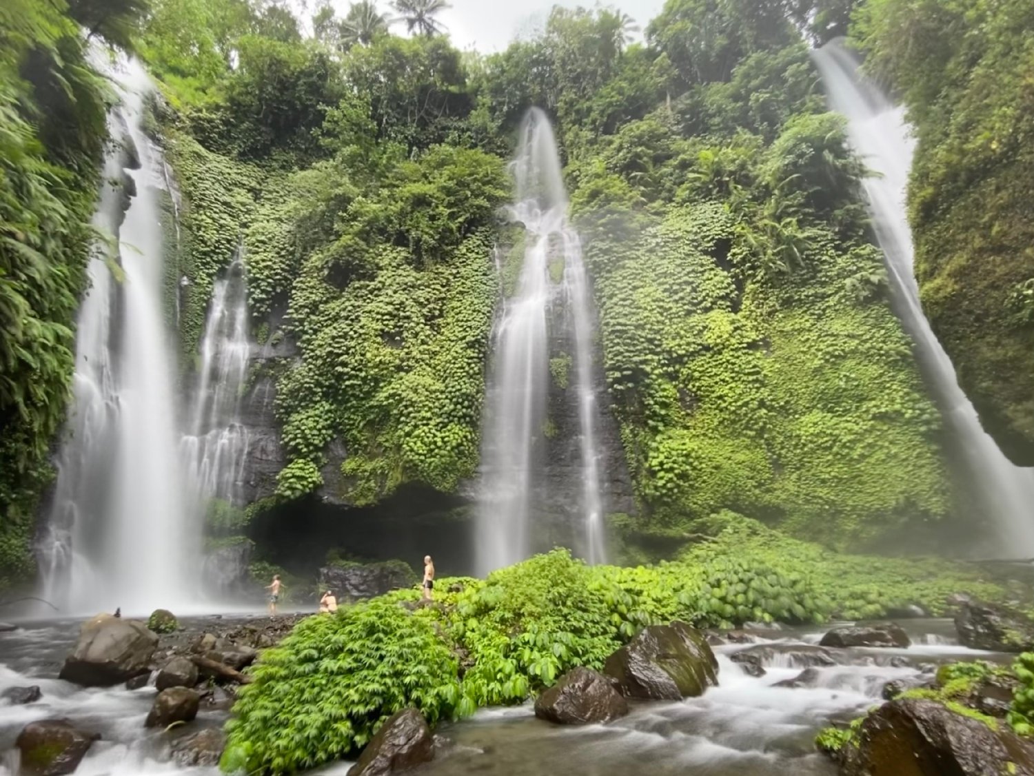 Sekumpul Waterfall, Ulun Danu Temple & Jatiluwih Rice Terrace Trekking Tour from Ubud