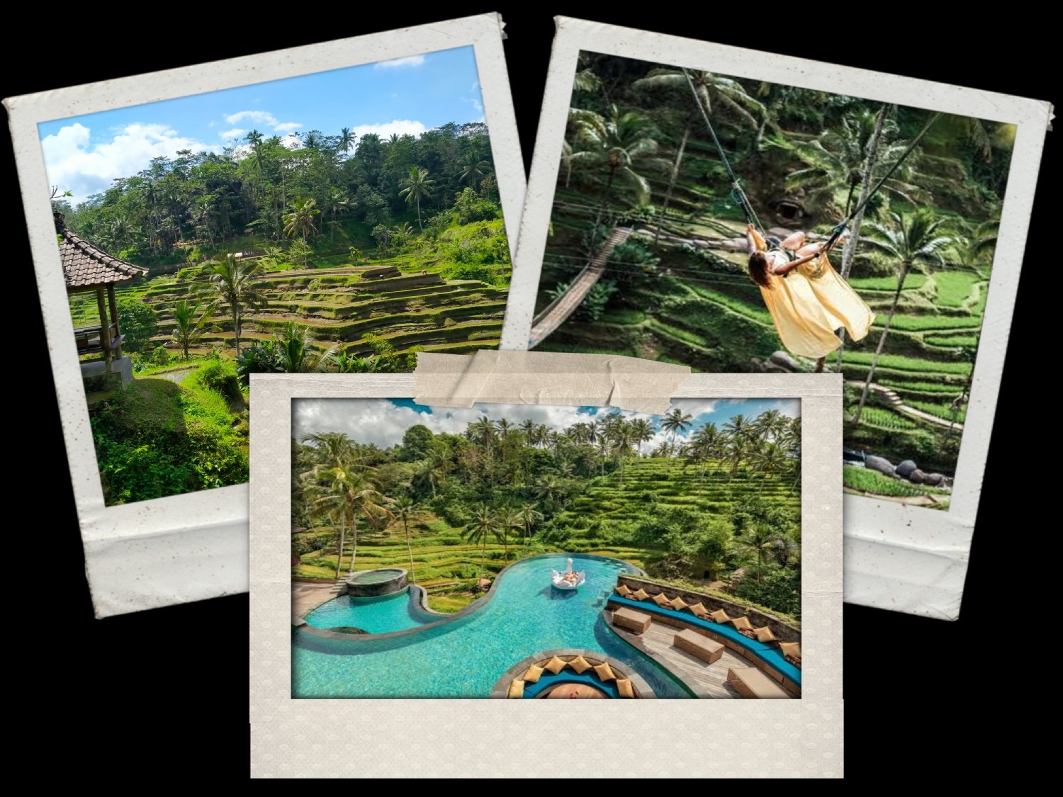 Tegalalang rice terrace trekking, Bali swing,  Alas Harum Agro 3 Best Things to Do in Ubud