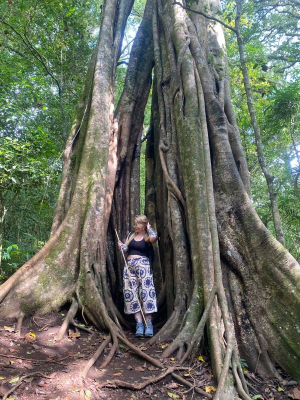 tamblingan jungle trekking