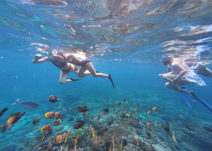 Nusa Penida snorkeling 1