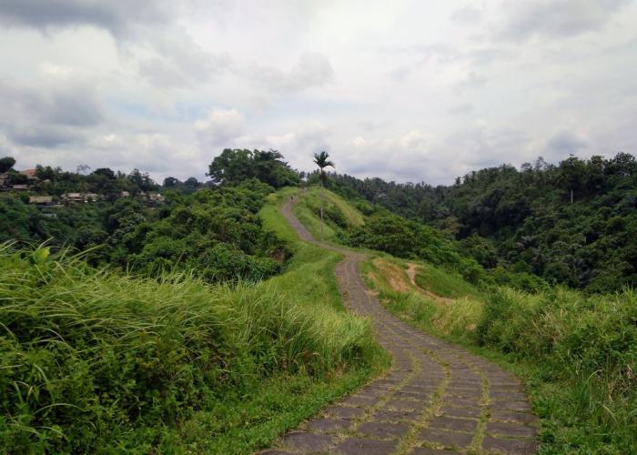 campuhan ridge walk ubud 2