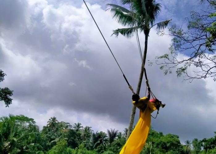 jungle swing