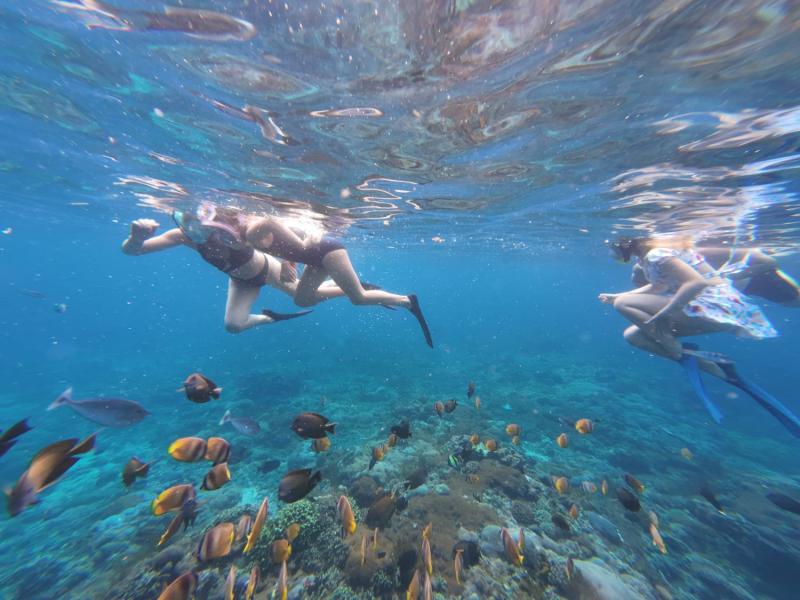 Nusa Penida snorkeling