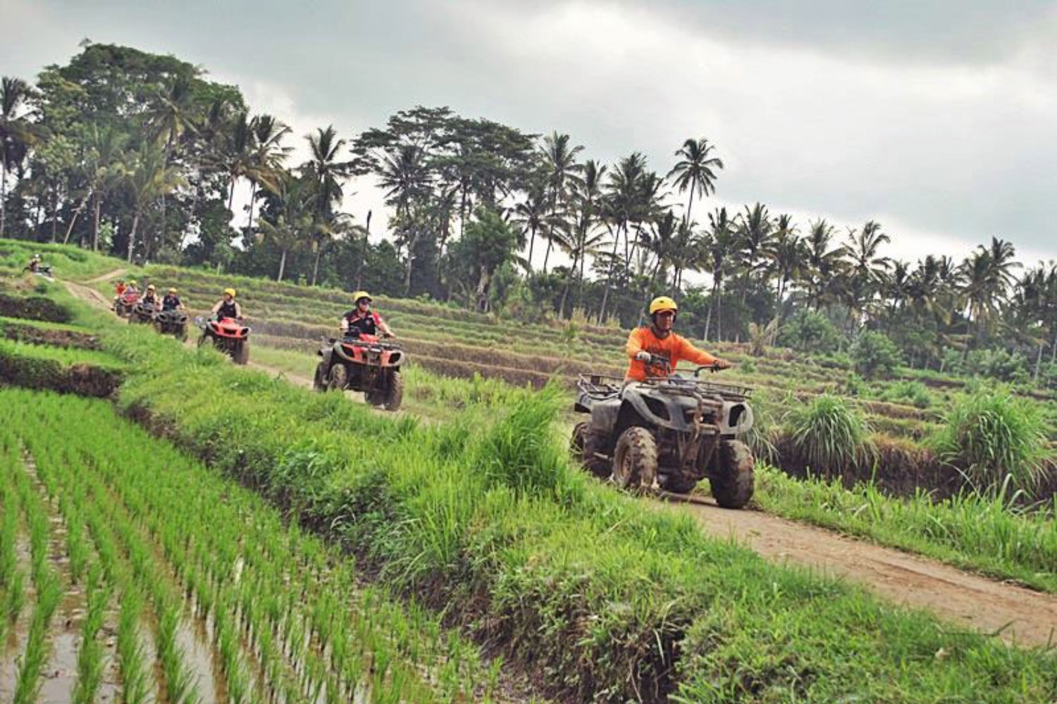 Bali ATV Adventure in Rice Paddies