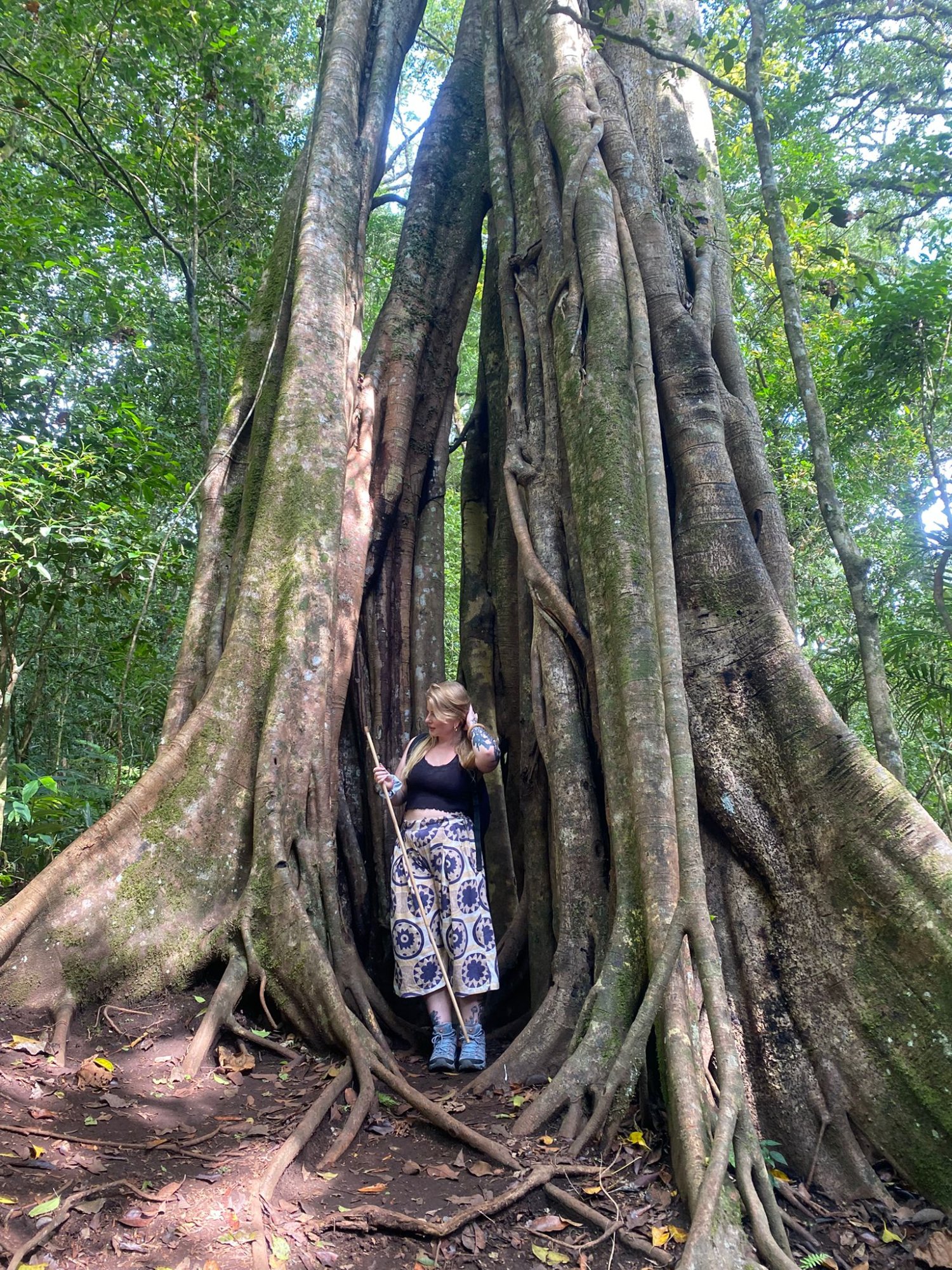 tamblingan jungle trekking